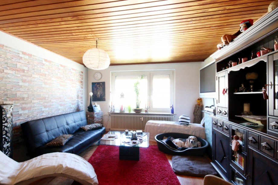 Wohnzimmer Dachgeschosswohnung Braunschweig