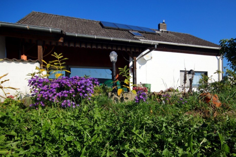 Gartenansicht Haus Braunschweig