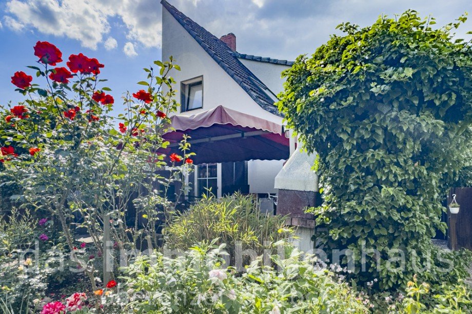 Terrasse - Doppelhaush�lfte in Braunschweig Lehndorf Doppelhaush�lfte Braunschweig