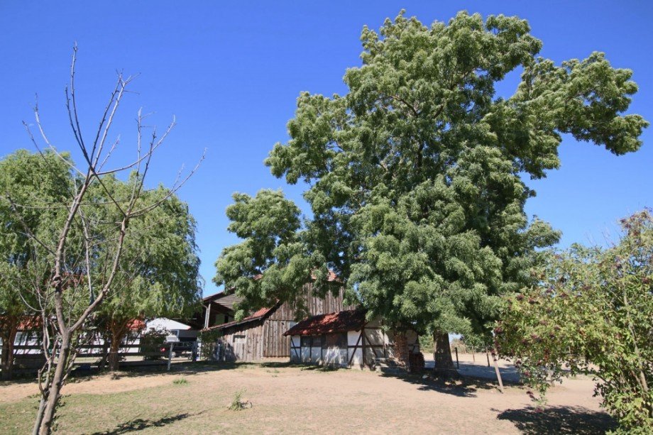 Ponystallung Haus Warberg